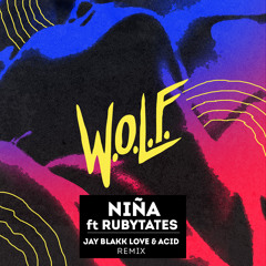 Niña (Lo Fi Acid) (Jay Blakk Remix)