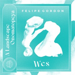 Felipe Gordon - Wes