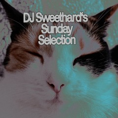 DJ Sweethard's Sunday Selection (144bpm) | Dec23