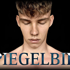 [HALBER SOHN] • SPIEGELBILD • Cover