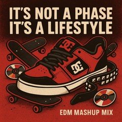 It’s Not A Phase It’s A Lifestyle (00s & 10s hits EDM mashups)