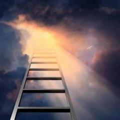 The  Ladder