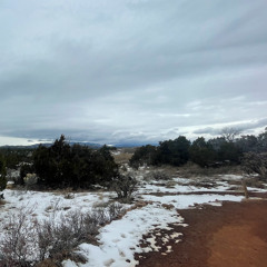 String Quartet No. 1 - III. New Mexico in Early Spring