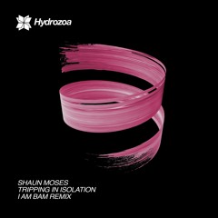 Shaun Moses - Transition [Hydrozoa]