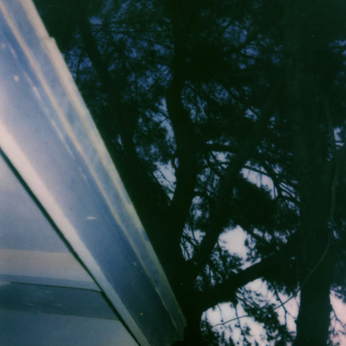 frans asthma - wait outside