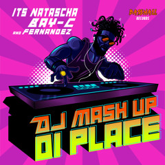 DJ Mash Up Di Place