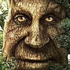 Uhm The Uhm The Uhm The Uhm The Uhm The Uhm The Uhm The Uhm The Uhm The Uhm The Uhm The Uhm The Uhm