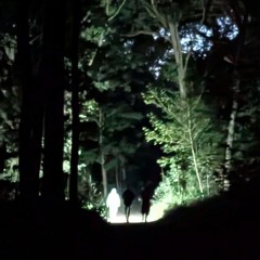 happy little accidents 🎧