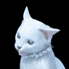 i serve the base 24/7 (throwaway)