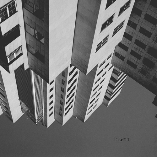 Irshad Hussein - Burning Walls (TRM139)