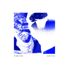 audio primitive - the hollow current [Claire Audience Records]