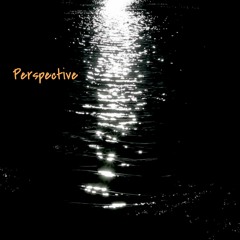 Perspective