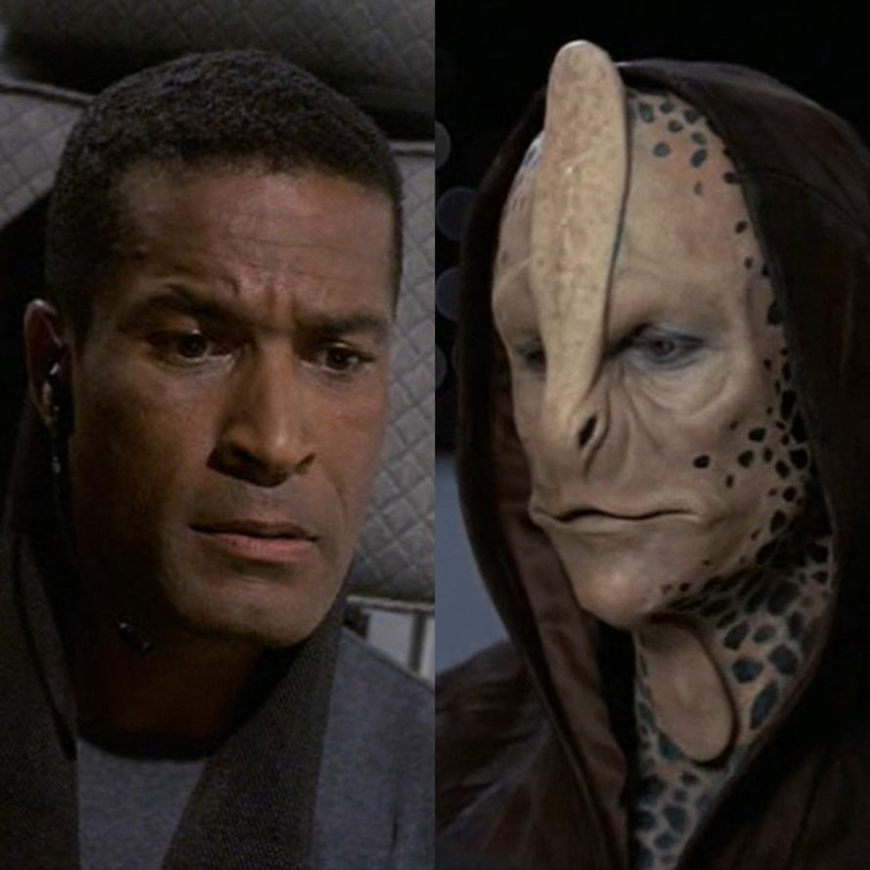 A Star to Steer Her By