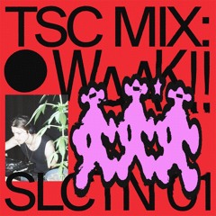 TSC Mixtape 01 - Toto Waak