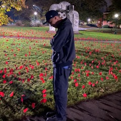 Earn My Stripes - unreleased(2019)