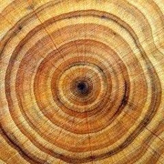 Door Closeing Sound Effect