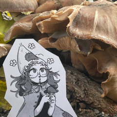 shteppi - weepy ol girl.