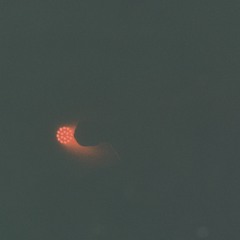 Dual Monitor - Threads Guest Mix - 04.07.23