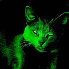 the music came first [FREE DL]