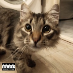 пох нам мы ебем (prod. ayocarie + vallorry)