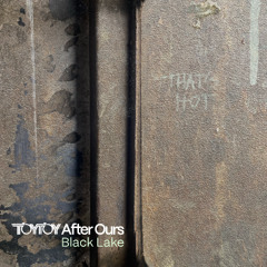 TOYTOY After Ours - Black Lake