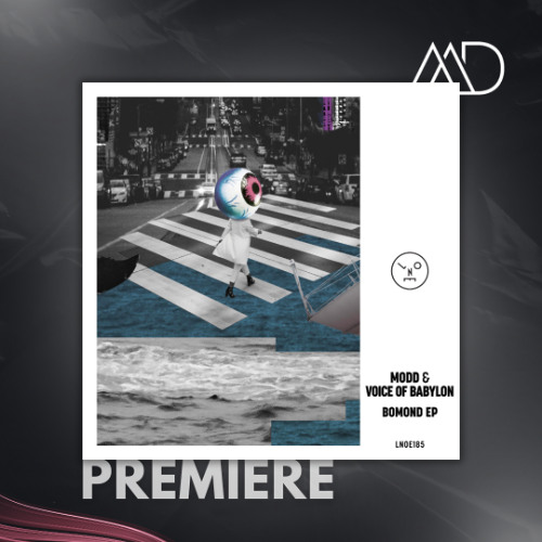 PREMIERE: Modd & Voice Of Babylon - Hymn Of The Fern [Last Night On Earth]