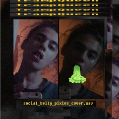 social_belly_pixies_cover.wav