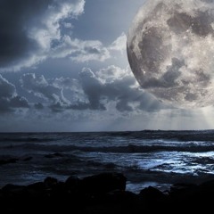 Set AcidMentalCore - L-FINK - La Barak 20241214