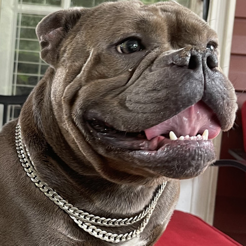 JuanThizzle - Cash crop.m4a