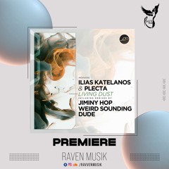 PREMIERE: Ilias Katelanos, Plecta - Won't Let Go (Jiminy Hop Remix) [Movement Recordings]