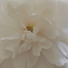 From Linear Time to Eternal Being: Embracing the New Reality