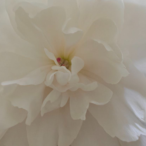 From Linear Time to Eternal Being: Embracing the New Reality