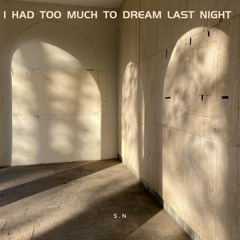 I Had Too Much To Dream Last Night (Original Mix)