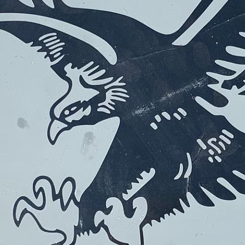 atosigado x herrica - ratas