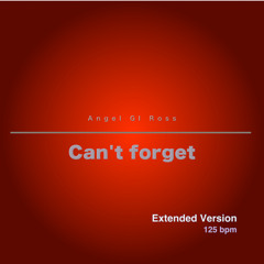 Can't forget (Extended Version)