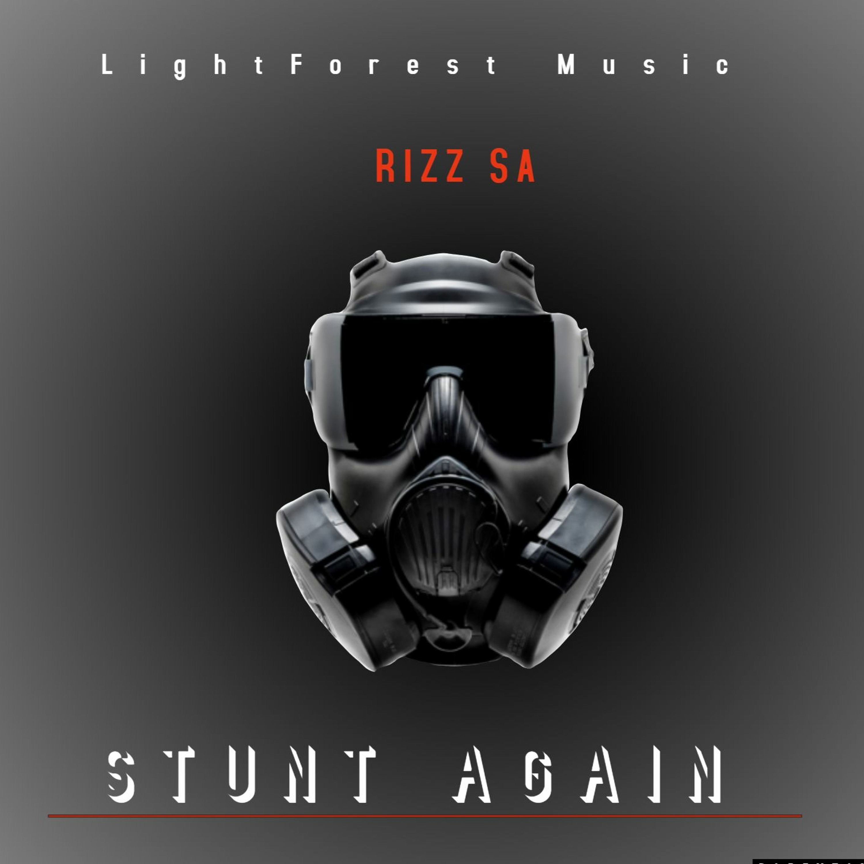 RIZZ_SA HAVEN