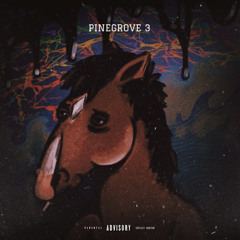 PINEGROVE 3