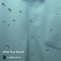 after-the-storm 3