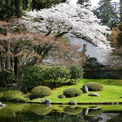 实修引导之一 : 修行动力来源