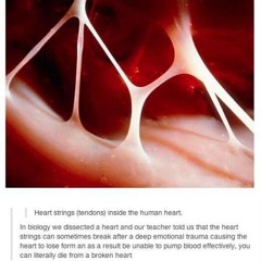 untangling my heart strings