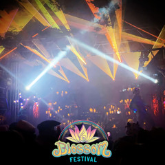 Blossom 2025 - Mainstage - Saturday 10:30pm