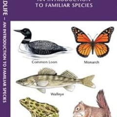 [Download] PDF 📄 Minnesota Wildlife: A Folding Pocket Guide to Familiar Animals (Wil