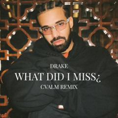 What Did I Miss? (CVALM Remix)