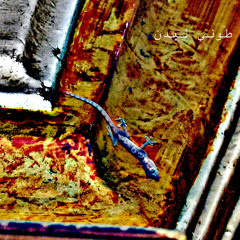 Sebeny (سيبيني)