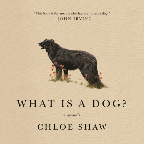 What Is A Dog? by Chloe Shaw, audiobook excerpt
