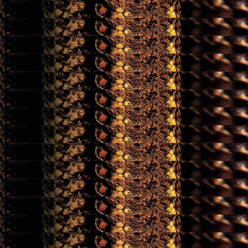 PANTERA - 10s (BLACKGONEGHOST BOOTLEG)