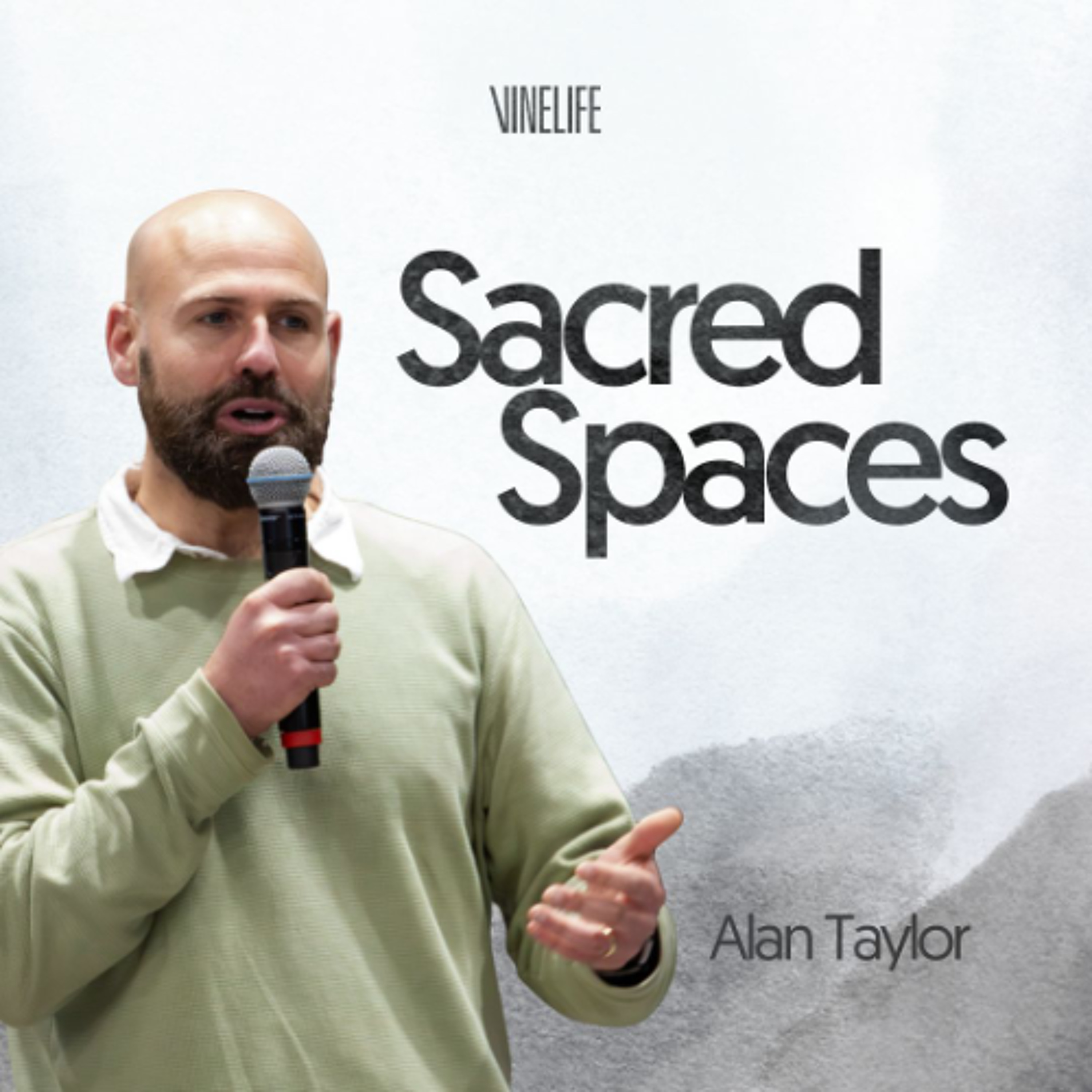 Sacred Spaces Alan Taylor