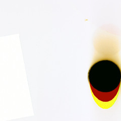 00000306(demo)