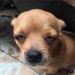 Lưu Số Em Đi Remix | Nhạc Trẻ Remix Hot TikTok Hay Nhất  Trở Lại