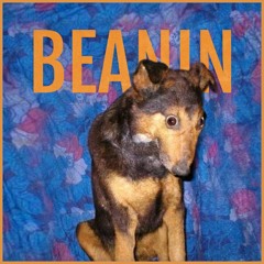 We Got Beanin'